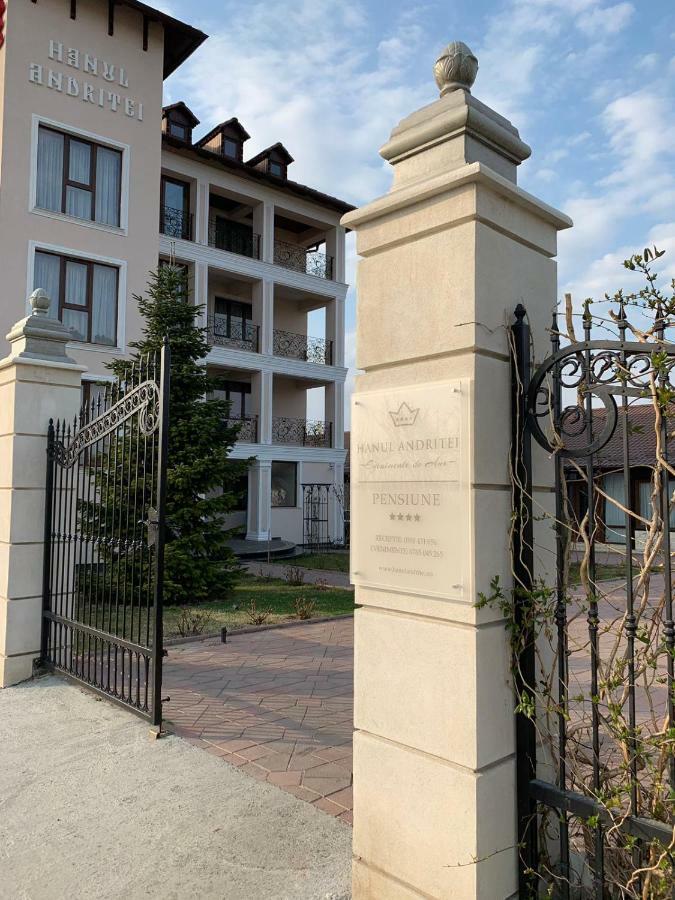 Pension Hanul Andritei Craiova Bagian luar foto