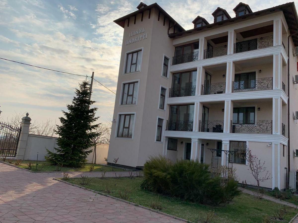Pension Hanul Andritei Craiova Bagian luar foto